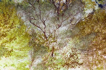 T 137A